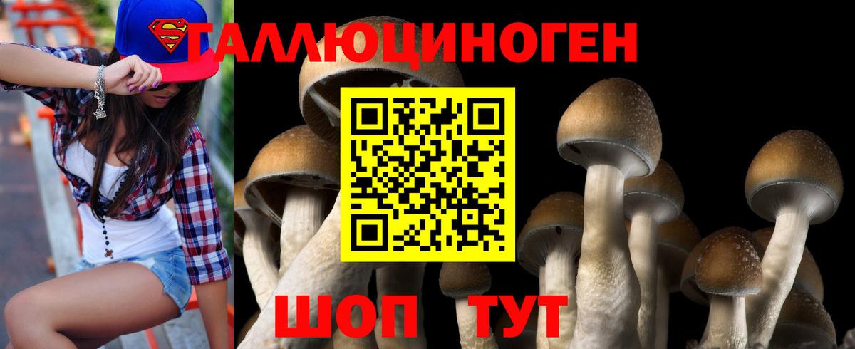 Михайловск  Галлюциногенные грибы Magic Shrooms  Вход с VPN 