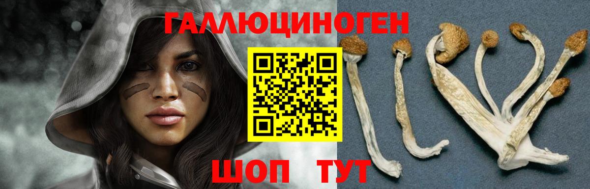 Псилоцибиновые грибы Magic Shrooms Михайловск